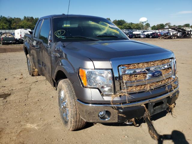 FORD F150 SUPER 2014 1ftfx1ef9efc89974