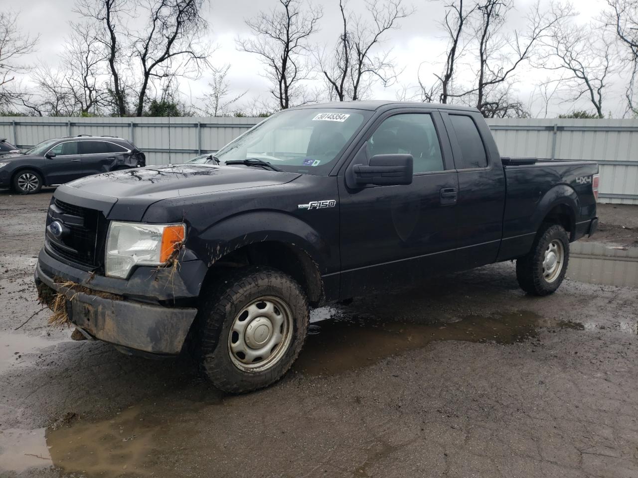 FORD F-150 2014 1ftfx1ef9eke74002