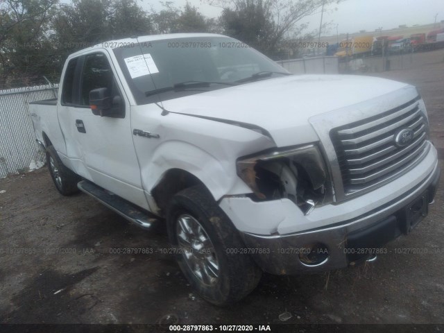 FORD F-150 2011 1ftfx1efxbfb65434