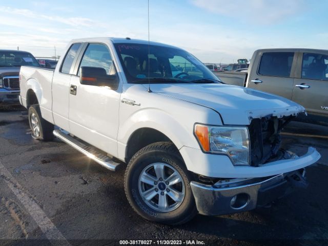 FORD F-150 2011 1ftfx1efxbfd32553