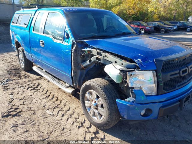 FORD F-150 2012 1ftfx1efxcke07082