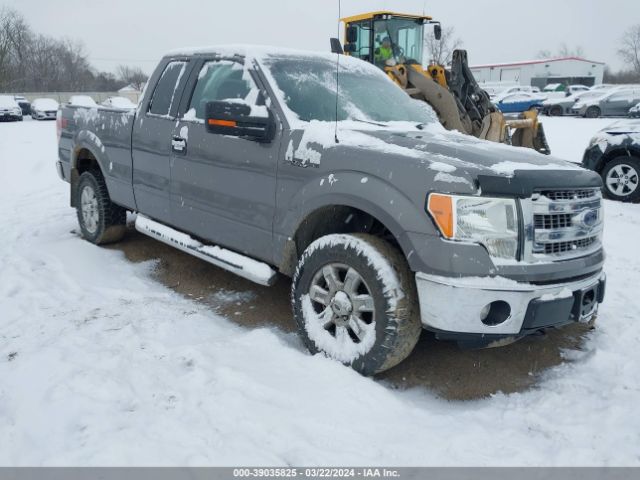 FORD F-150 2013 1ftfx1efxdfa70553