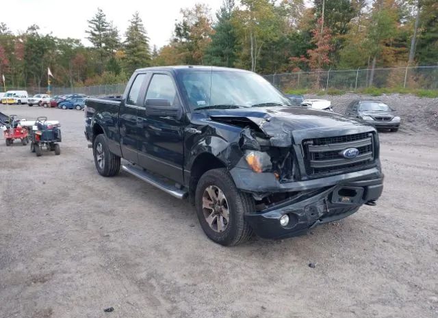 FORD F-150 2013 1ftfx1efxdfb00411