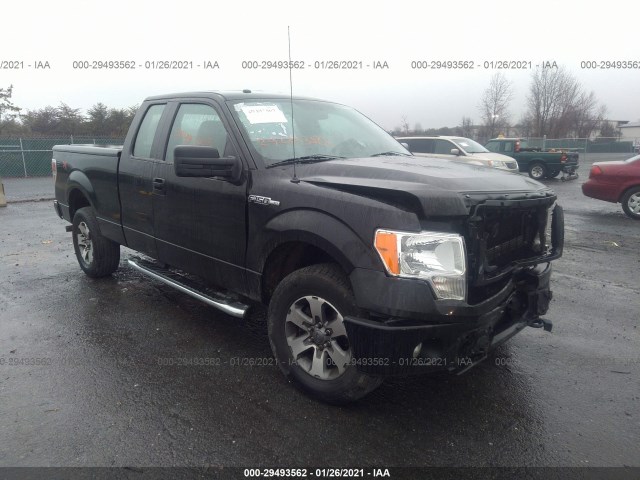 FORD F-150 2013 1ftfx1efxdfd23774