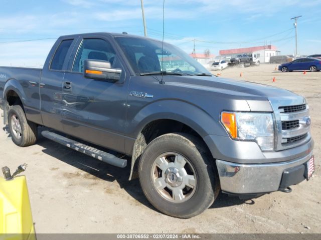 FORD F-150 2013 1ftfx1efxdfd50537