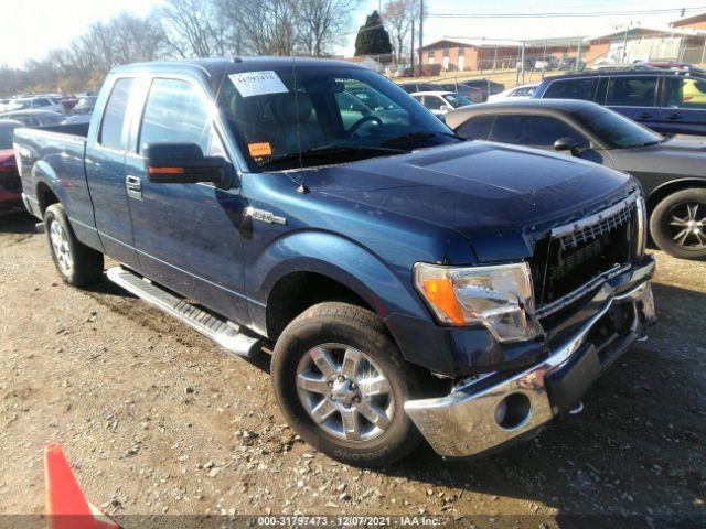 FORD F-150 2013 1ftfx1efxdfd92903