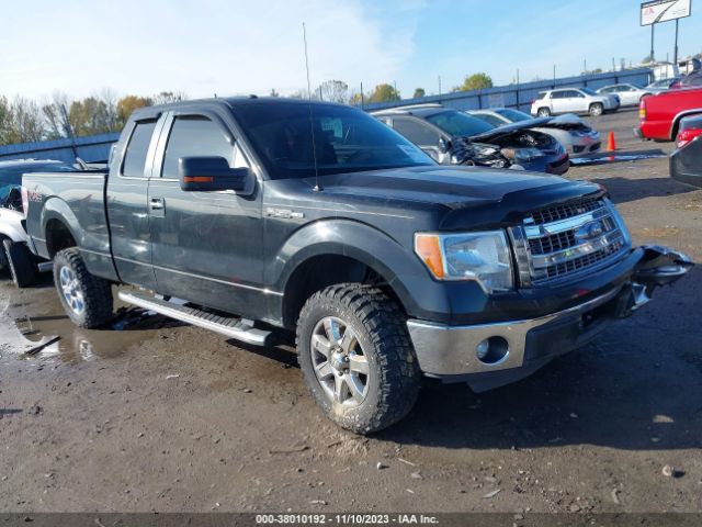 FORD F-150 2013 1ftfx1efxdkd02950