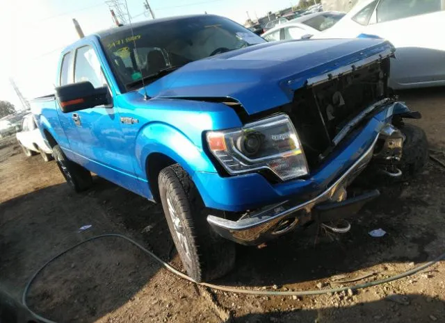 FORD F-150 2014 1ftfx1efxefa91159