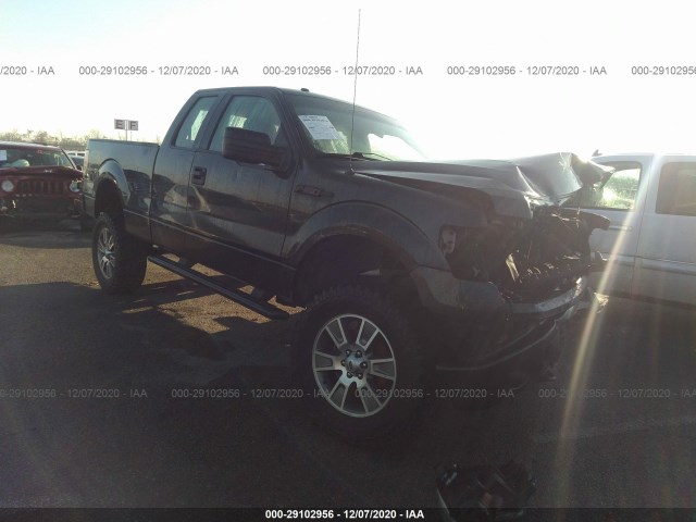 FORD F-150 2014 1ftfx1efxefb39176