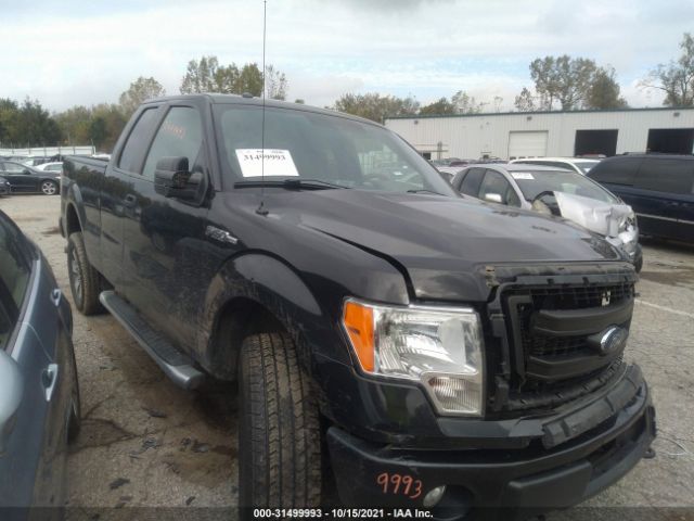 FORD F-150 2014 1ftfx1efxefb39355