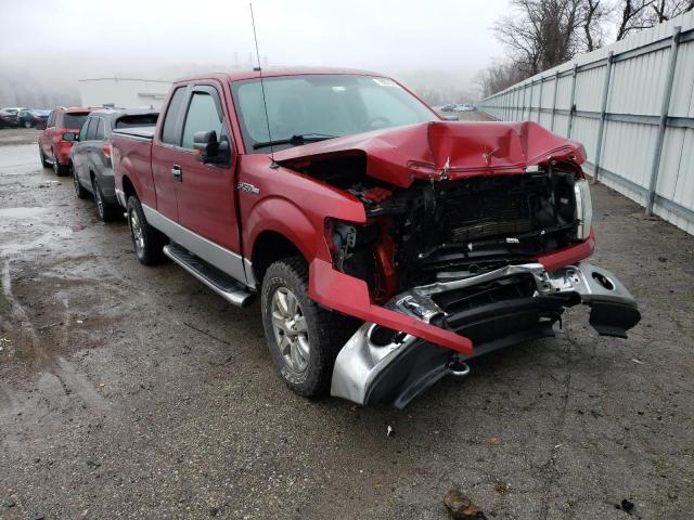 FORD F150 2014 1ftfx1efxefd14378