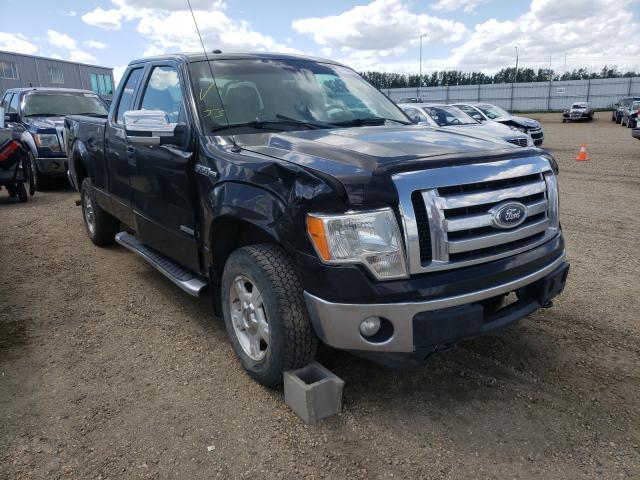 FORD F150 SUPER 2011 1ftfx1et0bkd49942