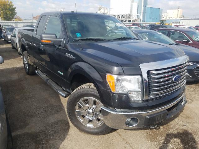 FORD F150 SUPER 2012 1ftfx1et0cfa75720