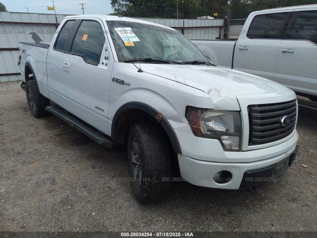 FORD F-150 2012 1ftfx1et0cfb12250