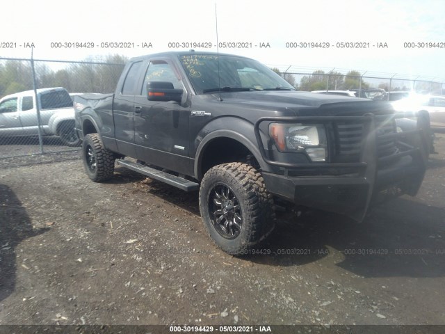 FORD F-150 2012 1ftfx1et0cfc16155