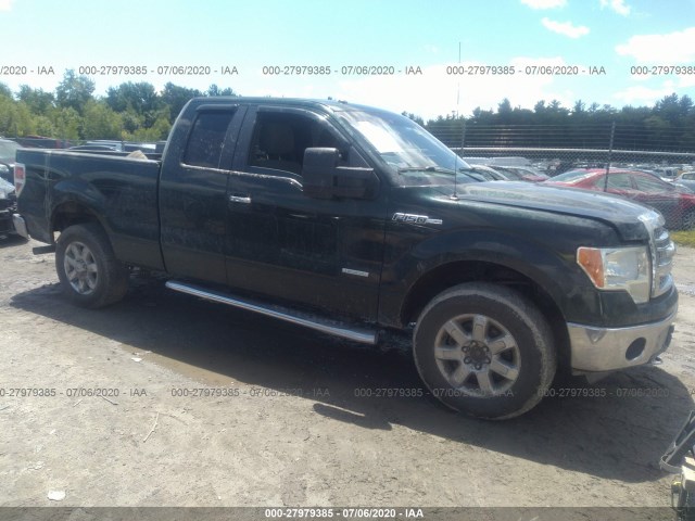 FORD F-150 2013 1ftfx1et0dfa08066