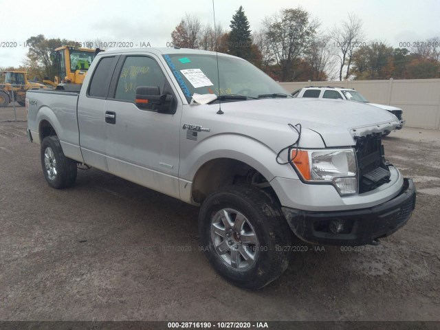 FORD F-150 2013 1ftfx1et0dfa14921