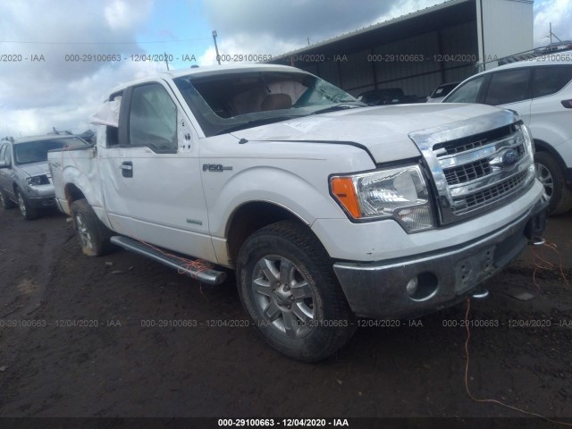 FORD F-150 2013 1ftfx1et0dfa42590