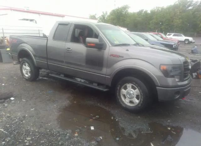 FORD F-150 2013 1ftfx1et0dfb63281