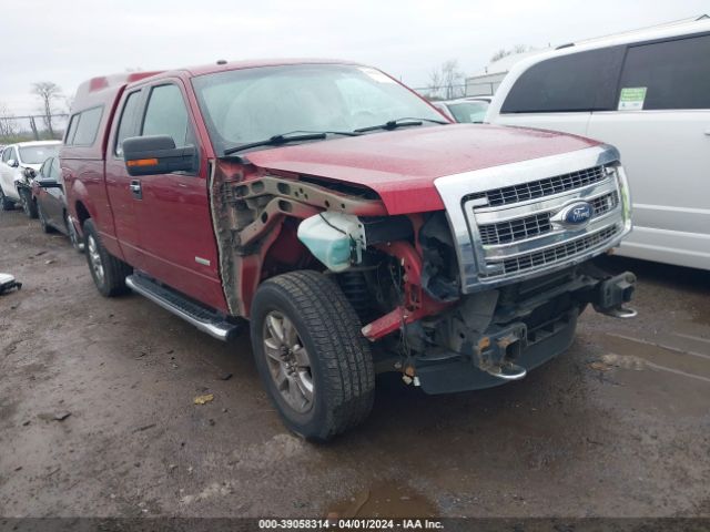 FORD F-150 2013 1ftfx1et0dfb97284