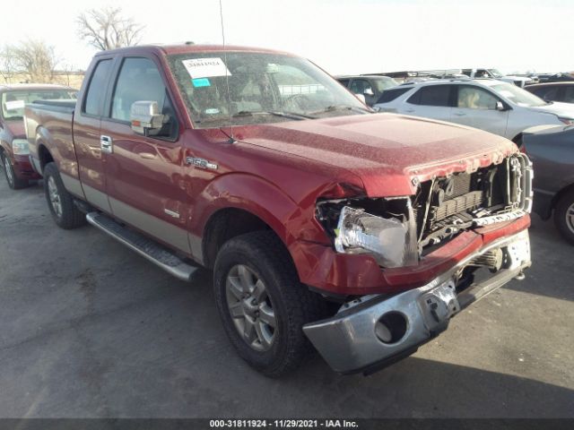 FORD F-150 2013 1ftfx1et0dkf66586