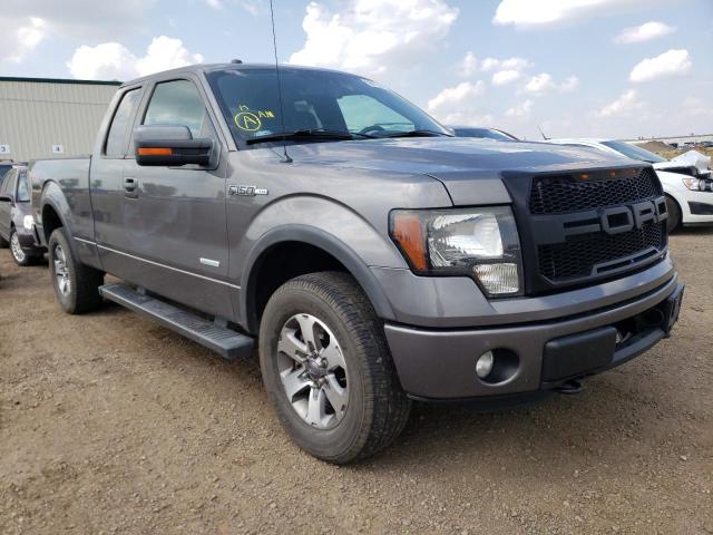 FORD F150 SUPER 2013 1ftfx1et0dkg00672