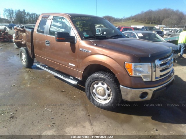 FORD F-150 2011 1ftfx1et1bfb53601