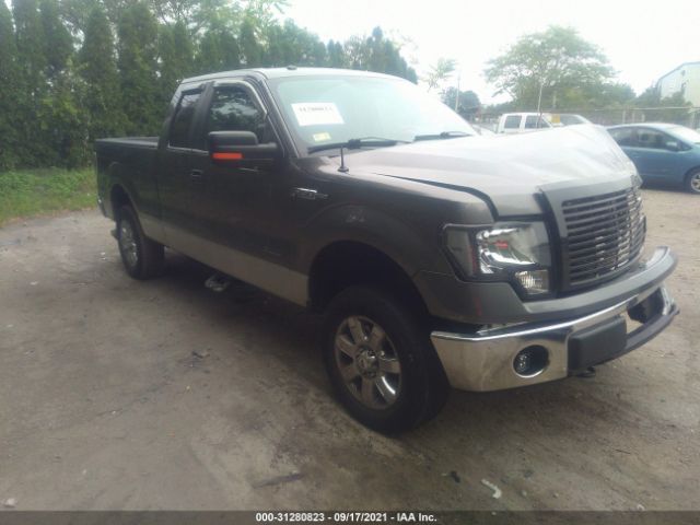 FORD F-150 2011 1ftfx1et1bfc98976