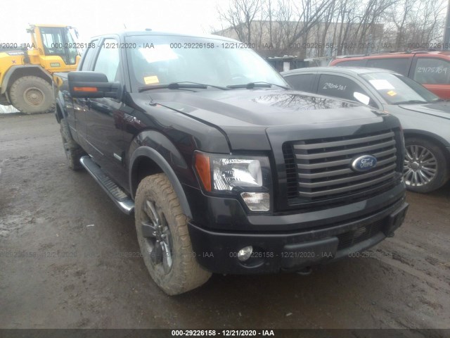 FORD F-150 2011 1ftfx1et1bkd33894