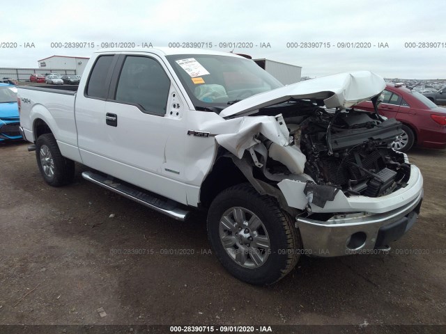 FORD F-150 2012 1ftfx1et1cfc03141