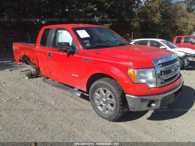 FORD F-150 2013 1ftfx1et1dfa02910