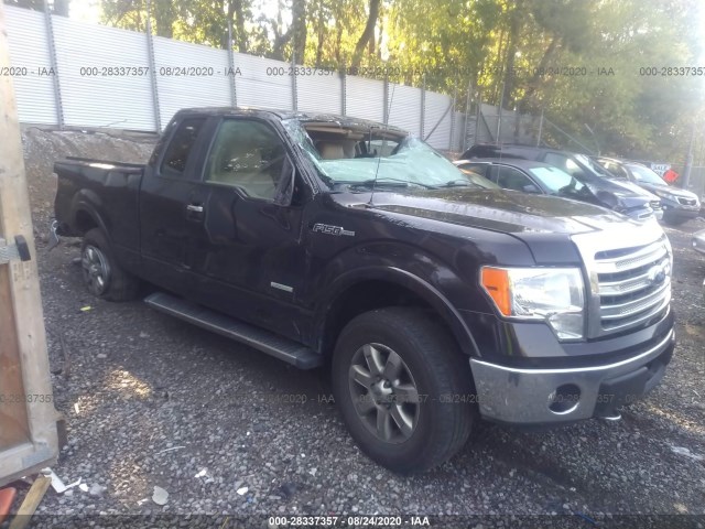 FORD F-150 2013 1ftfx1et1dfa28052