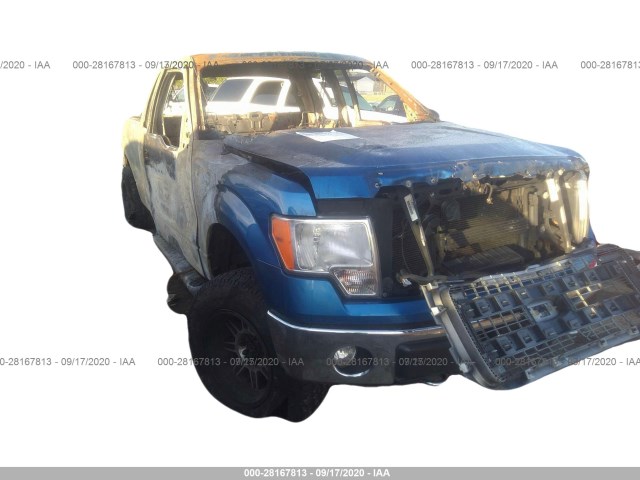 FORD F-150 2013 1ftfx1et1dfa59687