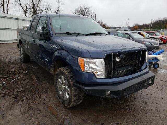 FORD F150 SUPER 2013 1ftfx1et1dfa81639