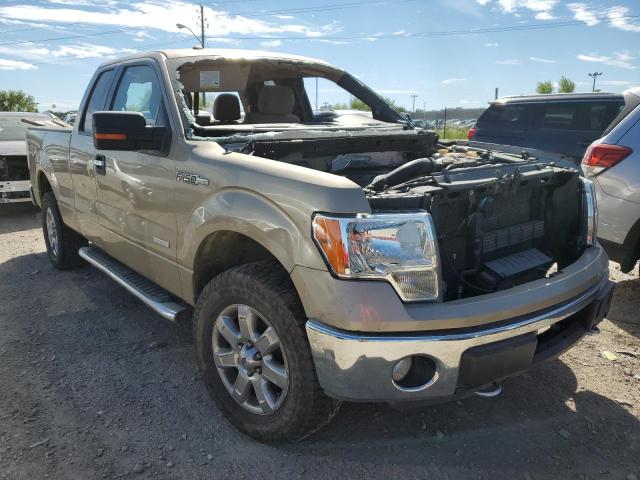 FORD F150 SUPER 2013 1ftfx1et1dfd65336