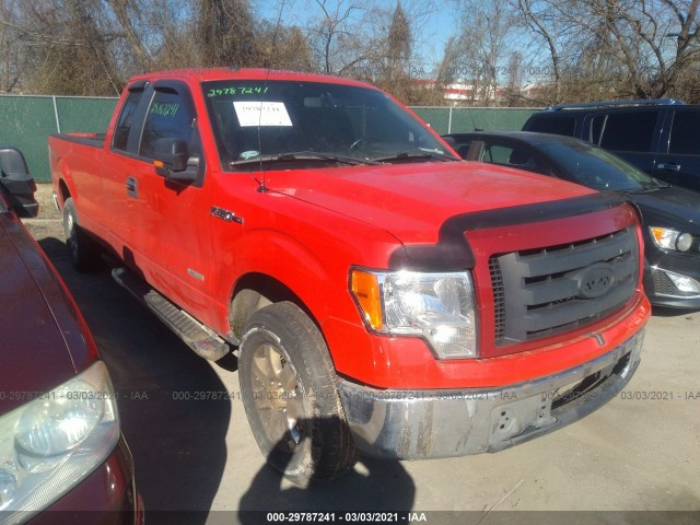 FORD F-150 2013 1ftfx1et1dkg21451