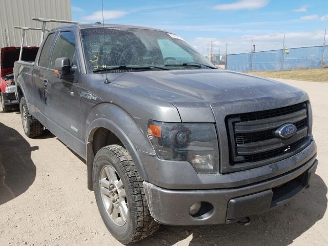 FORD F150 SUPER 2014 1ftfx1et1efc11257