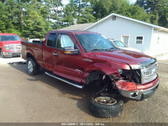 FORD F-150 2014 1ftfx1et1eke78356