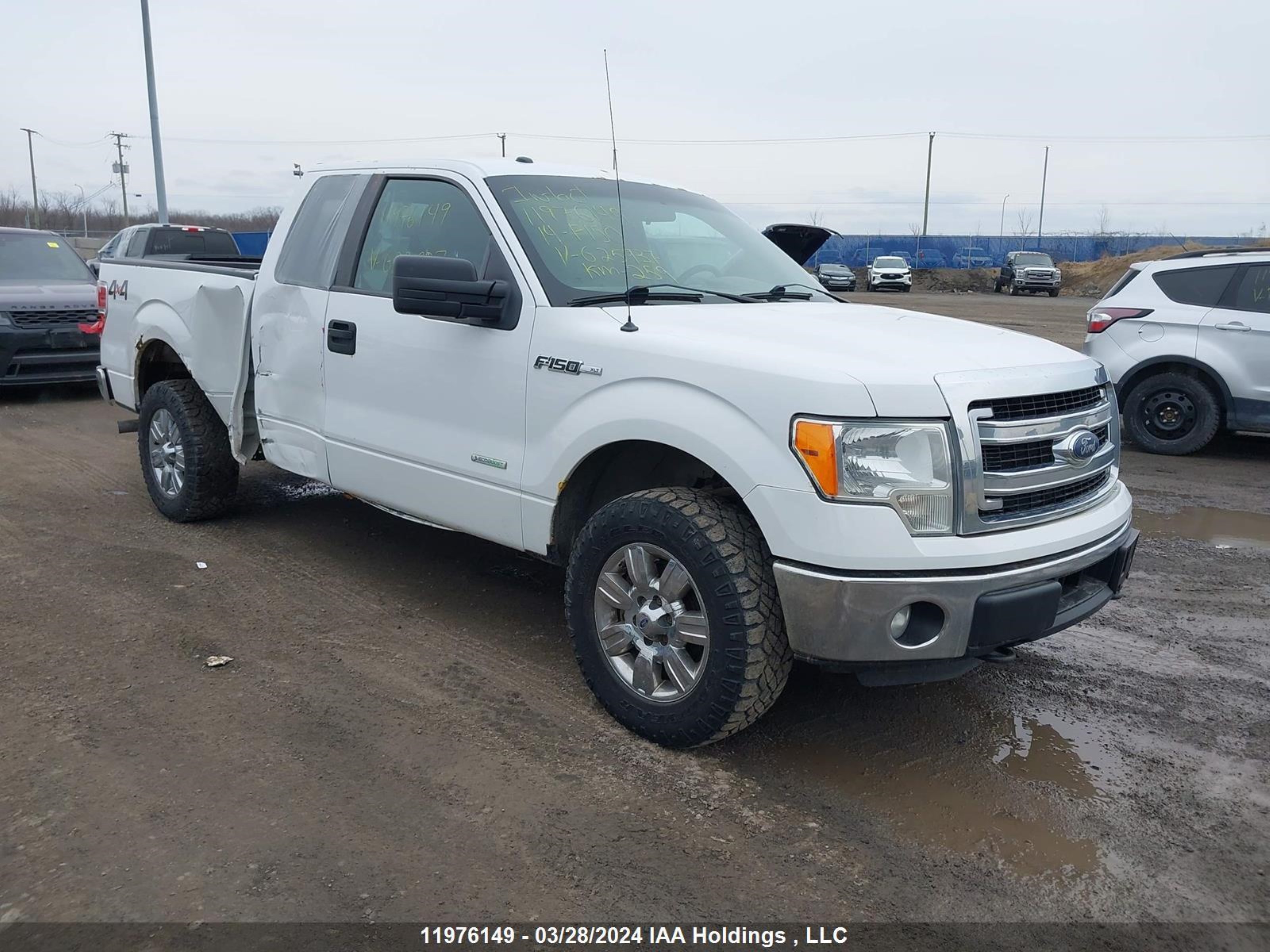 FORD F-150 2014 1ftfx1et1ekg25937