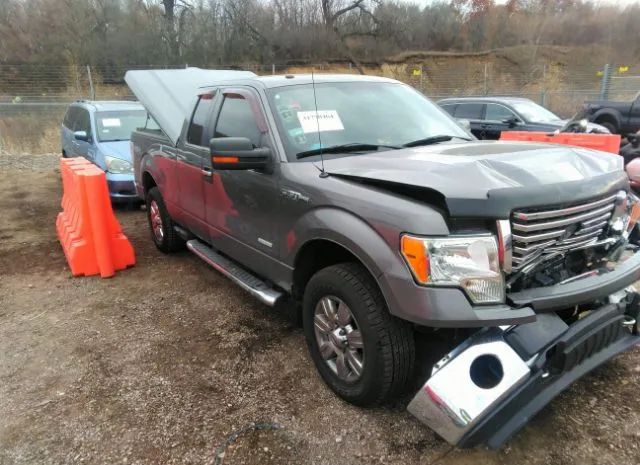 FORD F-150 2011 1ftfx1et2bfc03454