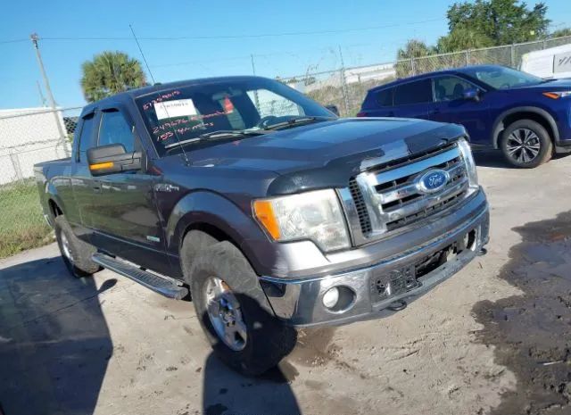 FORD NULL 2011 1ftfx1et2bfc30119