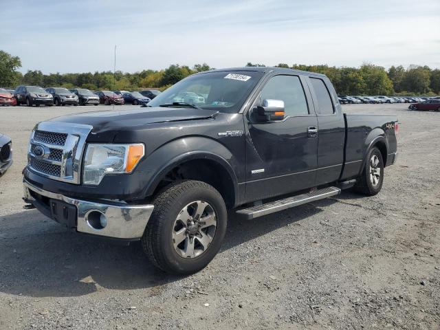 FORD F150 SUPER 2011 1ftfx1et2bfc43355