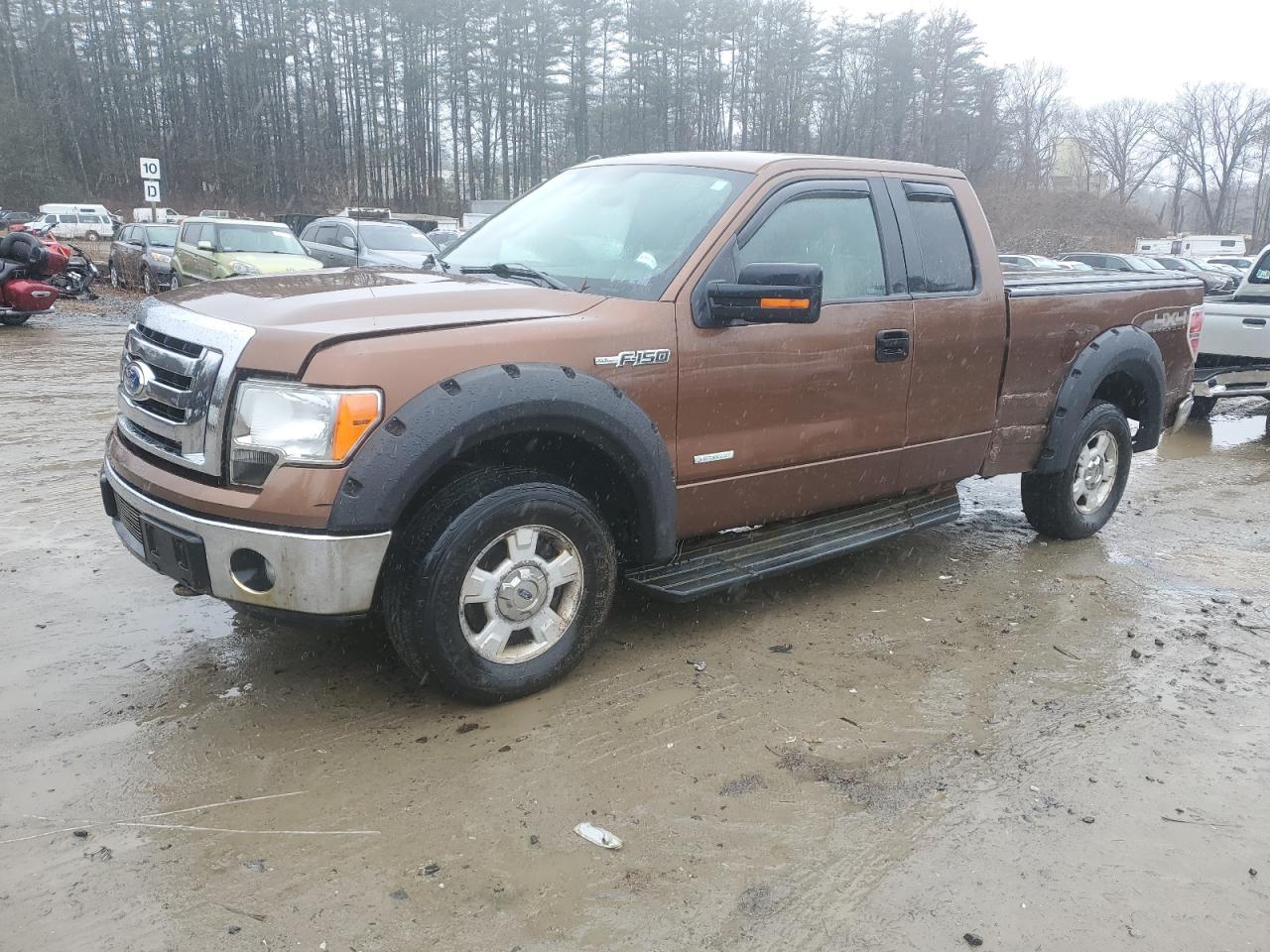 FORD F-150 2011 1ftfx1et2bfc99506