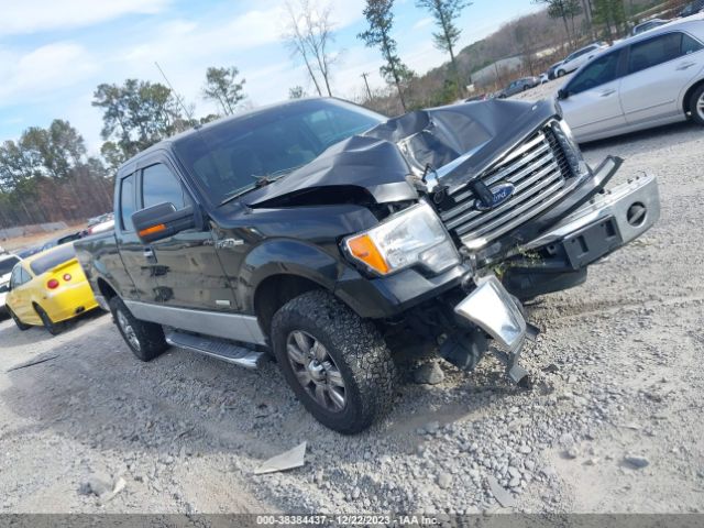 FORD F-150 2012 1ftfx1et2cfc66961