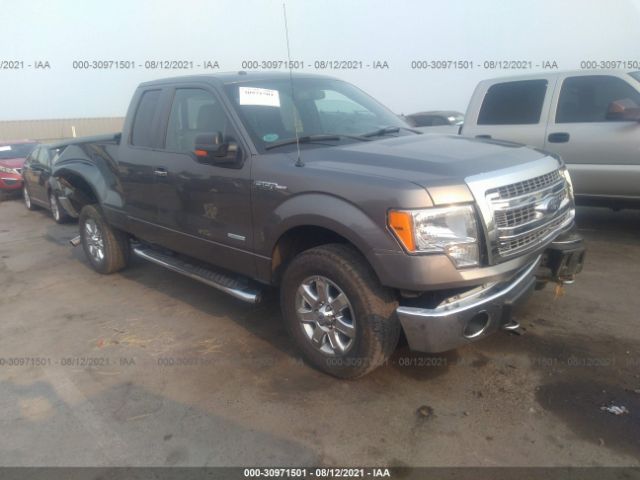 FORD F-150 2013 1ftfx1et2dfb91227