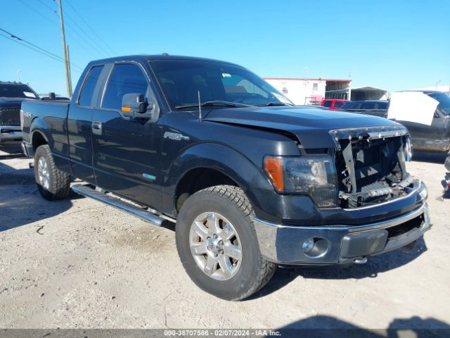 FORD F-150 2013 1ftfx1et2dfc08656