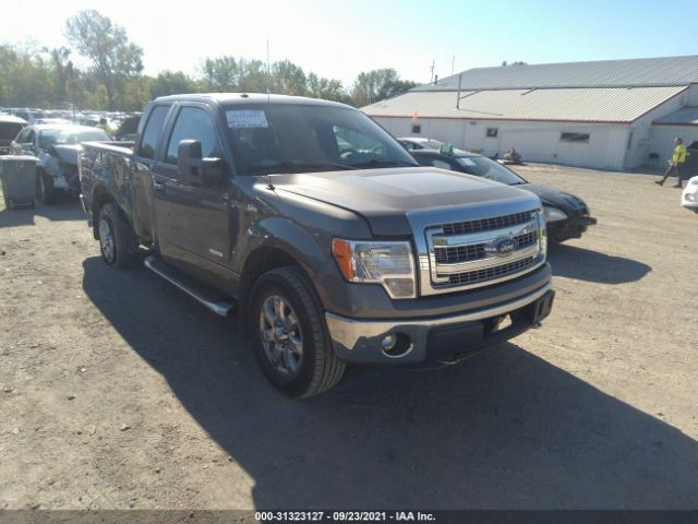 FORD F-150 2013 1ftfx1et2dfd46276