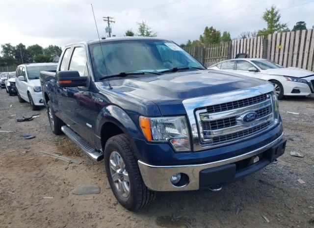 FORD F-150 2013 1ftfx1et2dfd53468