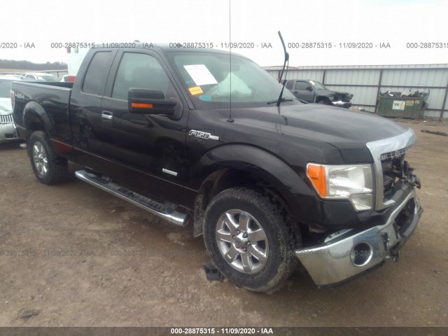 FORD F-150 2013 1ftfx1et2dfd96479