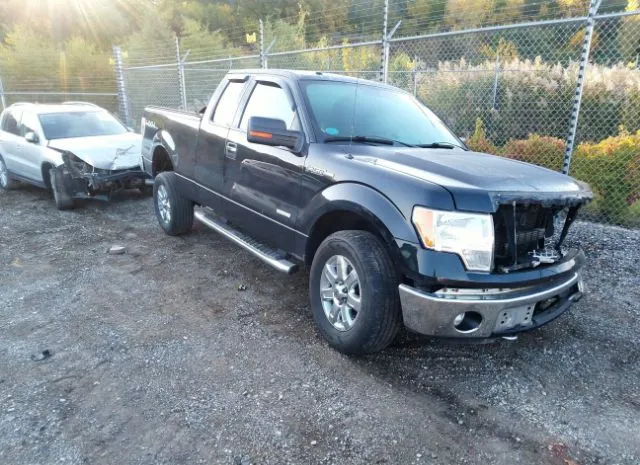 FORD F-150 2014 1ftfx1et2efb74882